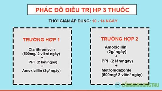 phac-do-dieu-tri-Hp-bo-y-te